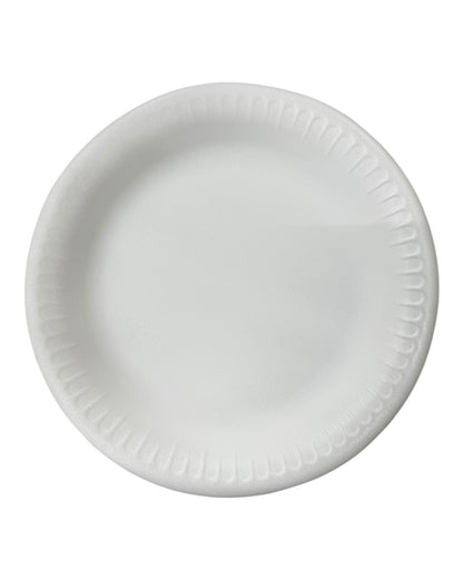 9inch foam Plate